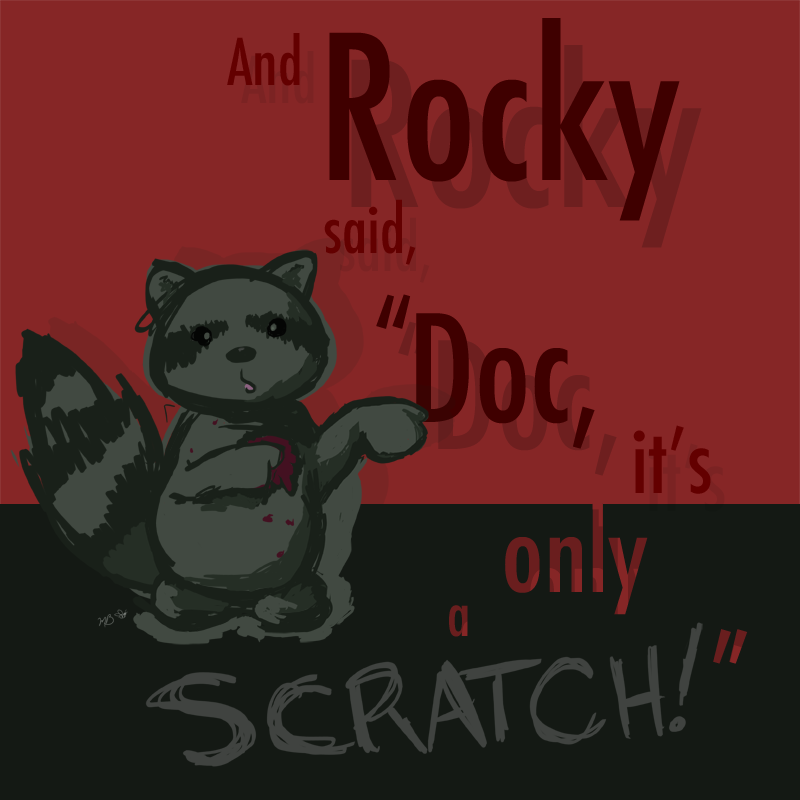 rocky-raccoon-2