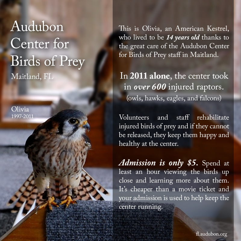Audubon Center for Birds of Prey, Maitland, FL