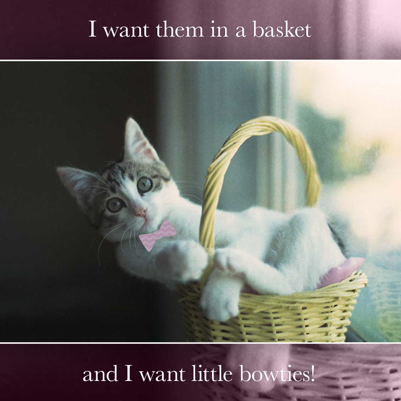 I really love cats. Can't hug every cat.